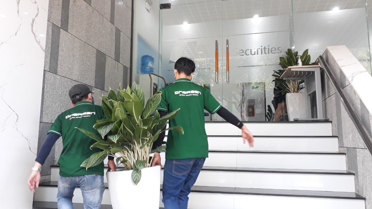 đồng phục công ty cây xanh